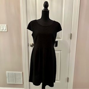 En focus black cap sleeve fit and flare knee length dress